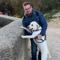 Cv Analyste Programmeur Webdev Freelance Informatique