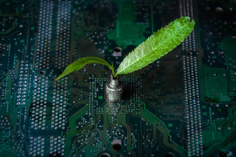 Réduction de la pollution numérique : un enjeu majeur pour les entreprises