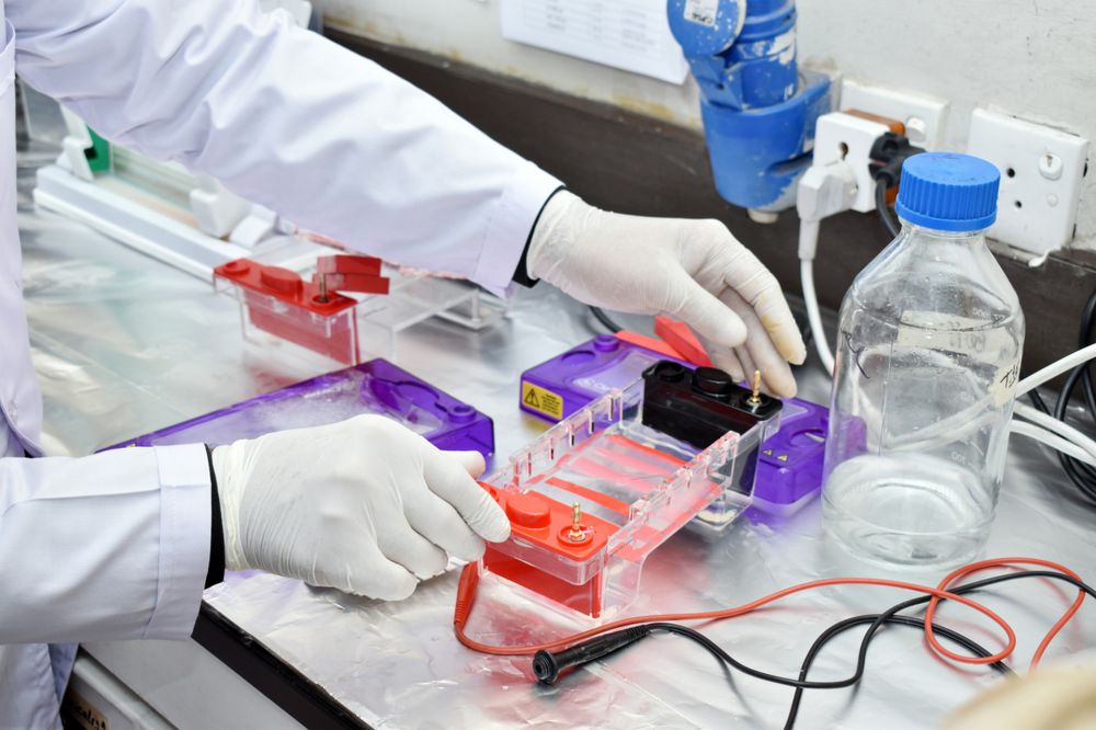 La reprogrammation cellulaire serait-elle la clé de la longévité ?